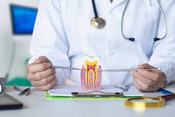 Best Emergency Dentist for Kids  in Golden Hills, CA